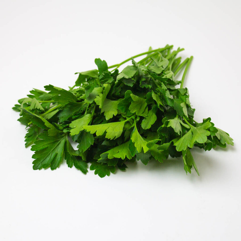 parsley bunch on a white background