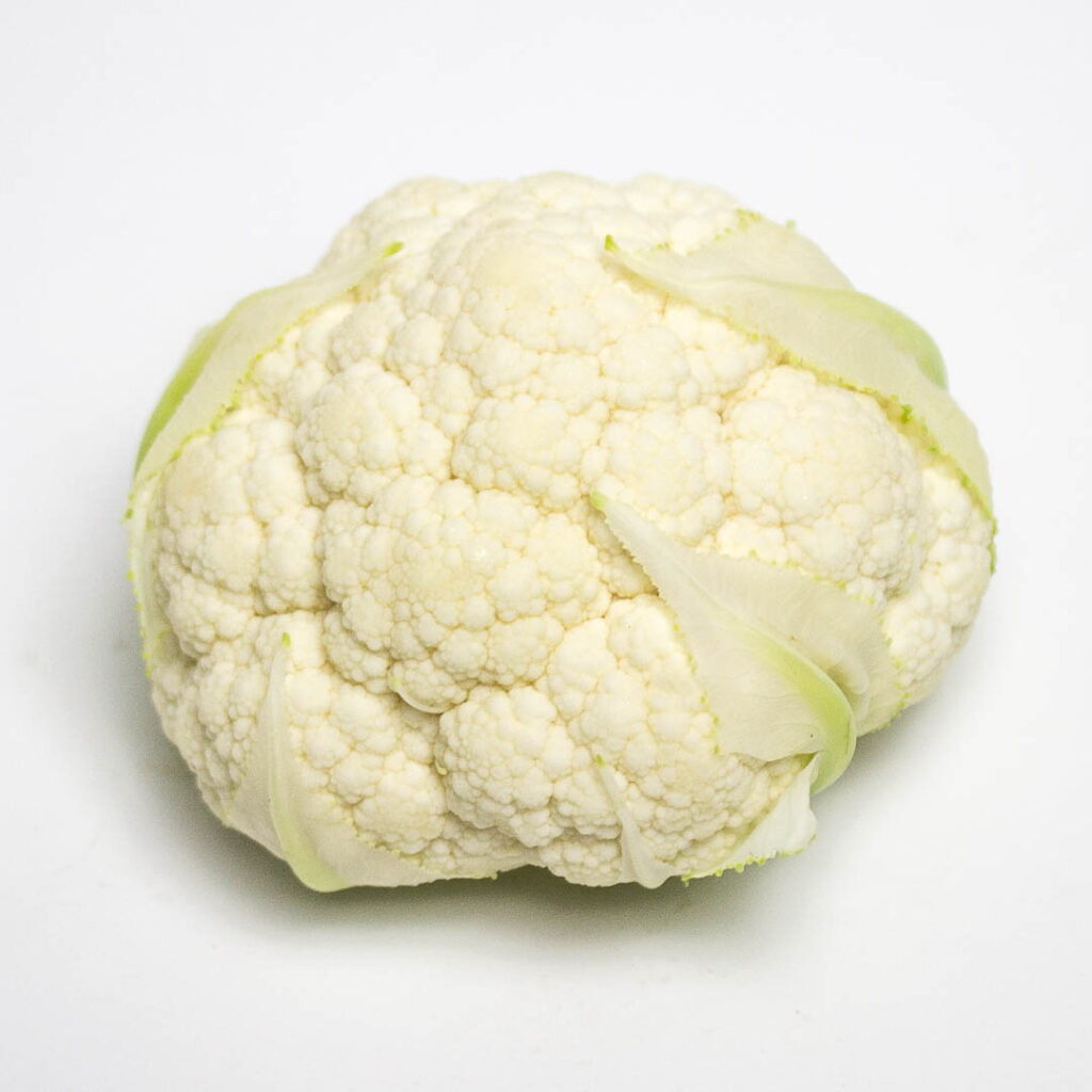 cauliflower on a white background