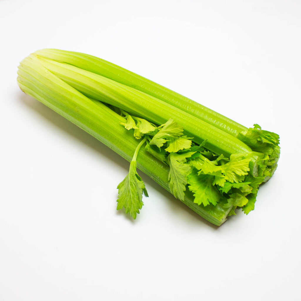 celery on a white background