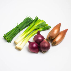 a selection of onions and chives on a white background