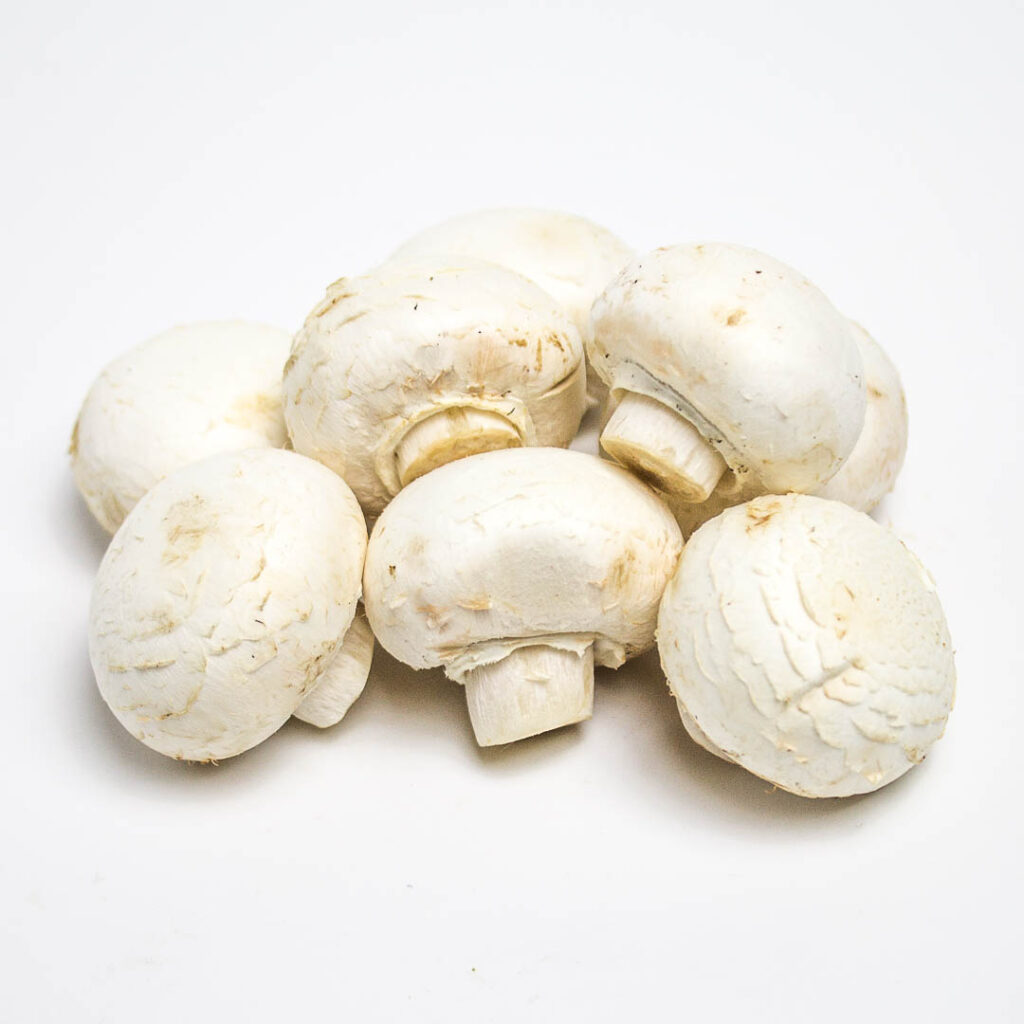 white mushrooms on a white background